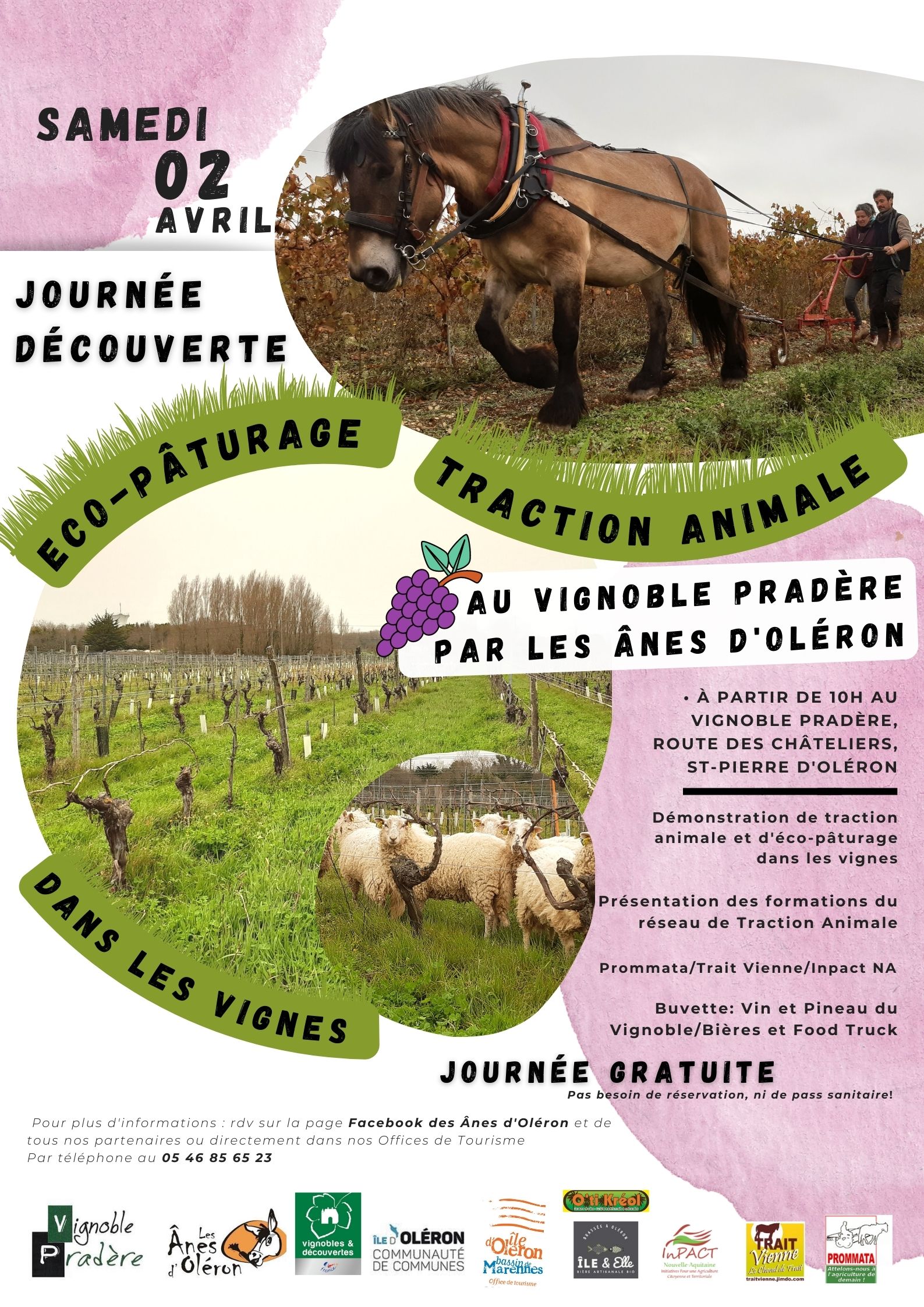 Affiche Journée2Avril VignoblesDécouvertes