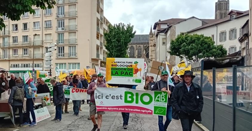 441966181 874179404726141 4809476589435917182 n