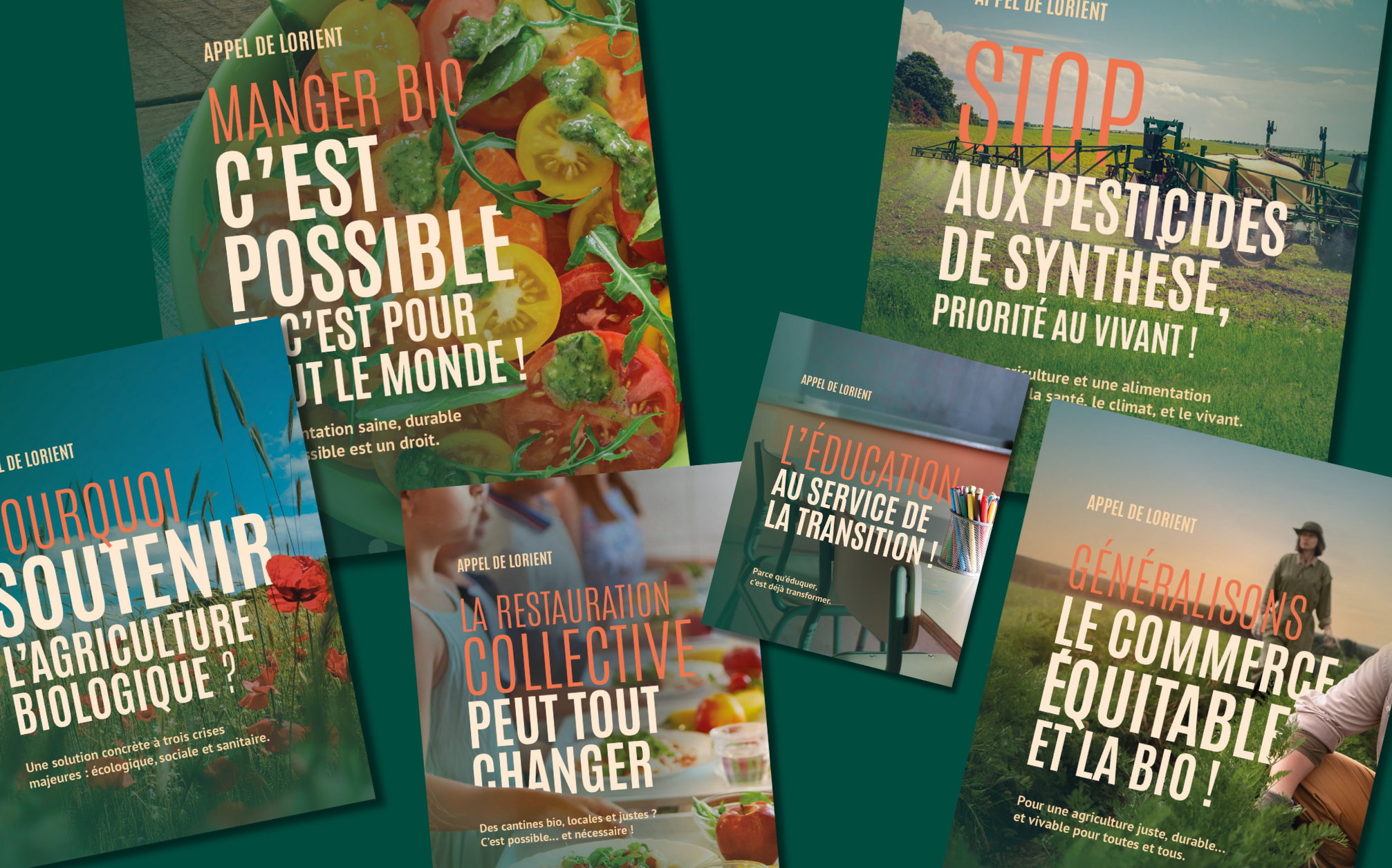 846595bfb03096b2536634df506fbe098b62d264d9945268ad9f2e9f4898af7b