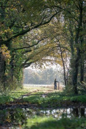 15112023 DSC03170 1332 444