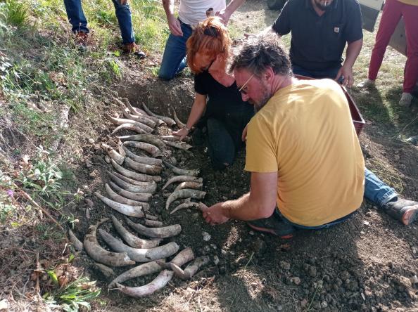 Journée de prépa 5 1332 444