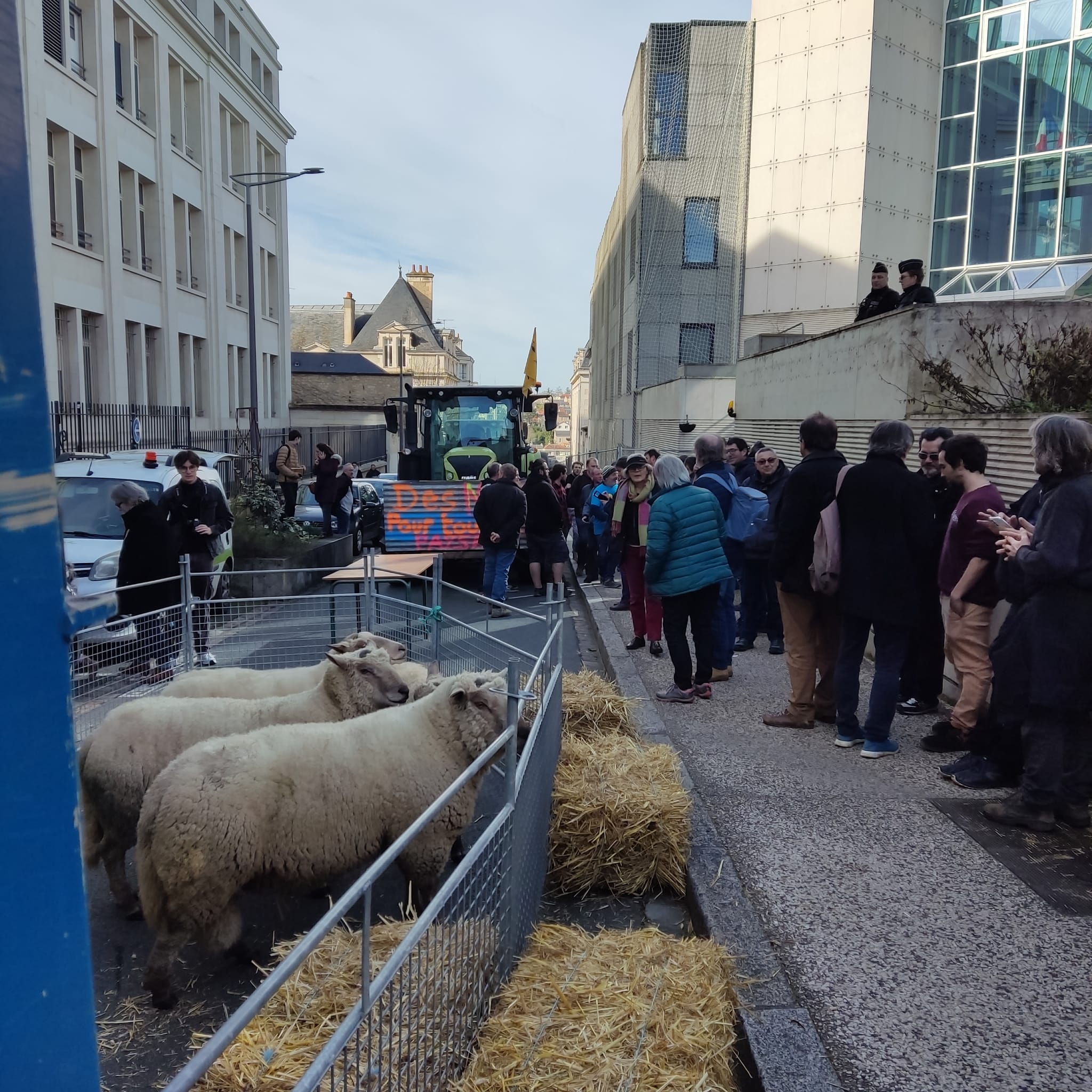 WhatsApp Image 2024 02 14 à 12.45.40 67b3976b