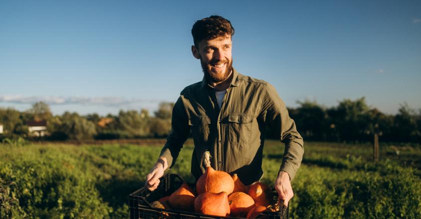 jeune installé courges