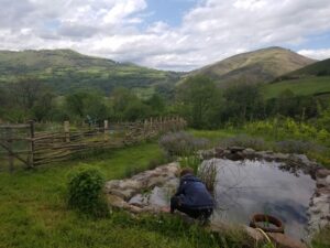 2024 DFF Pays Basque BLE 1 300x225