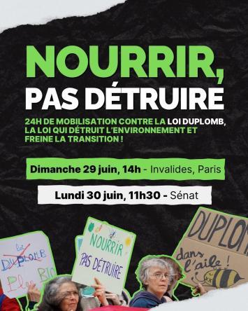 512660339 1033552648904513 2775086784641835384 n 1332 444