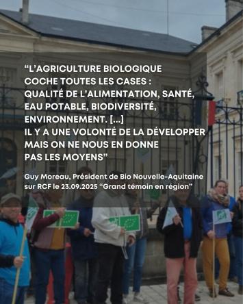 552605987 1425748409559319 7858933262744349694 n 1332 444