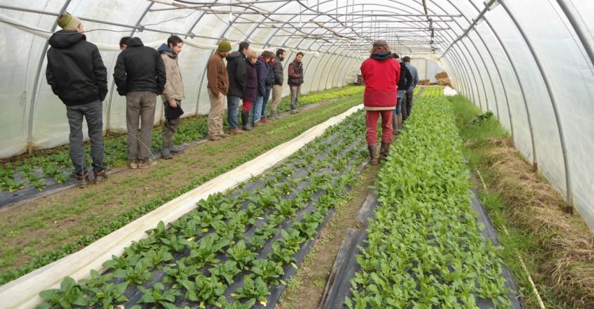 R groupe maraichageDSC01446