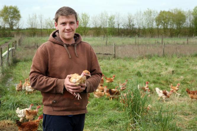 patchwork 8 1332 444