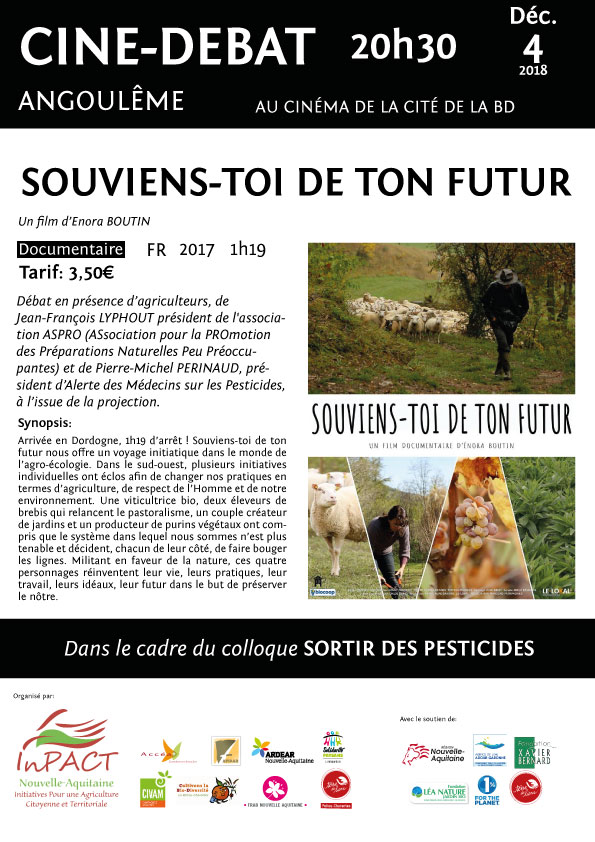 affiche ciné débat web