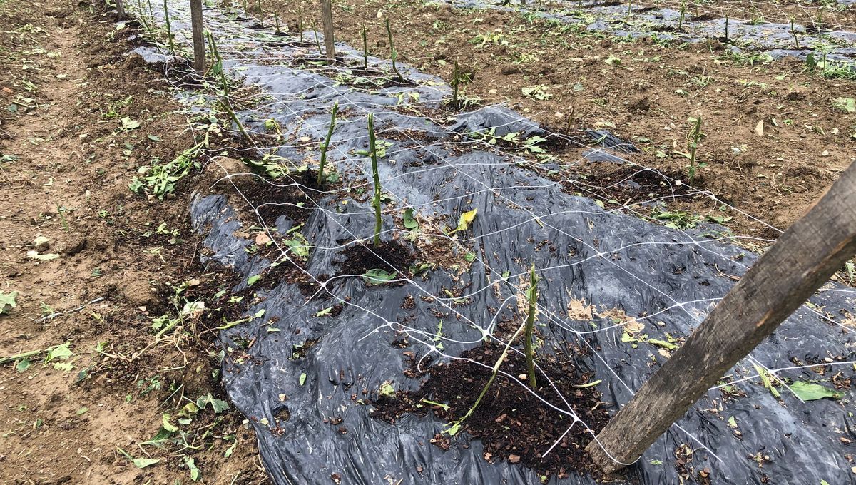 1200x680 sc img 9086