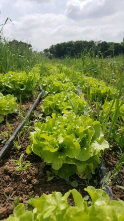 20220519 151058 1332 444