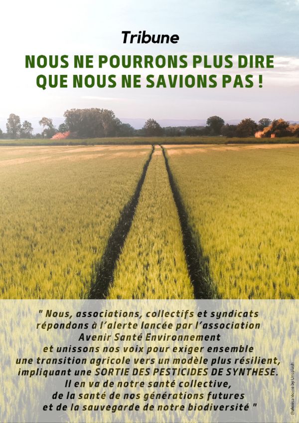 307677921 2298095830347098 5152565140006864580 n