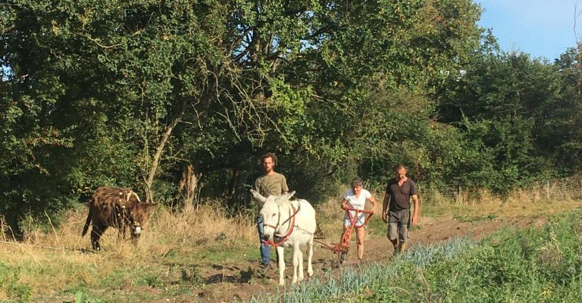 5BE877B3 6940 4EB8 820F 1B308528F3B8