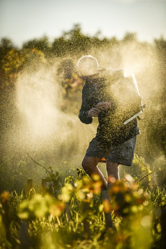 traitement biodynamie