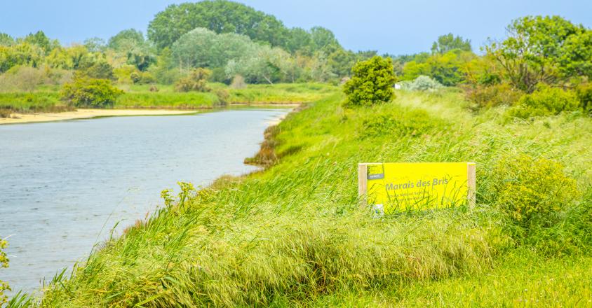 Marais des Bris sur lîle dOléron