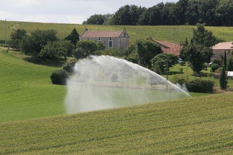 100987 irrigation 460x306