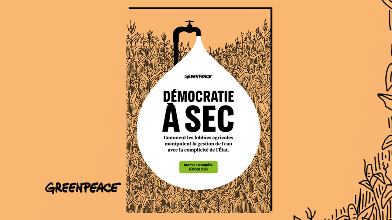 GREENPEACE DEMOCRATIE A SEC illu article 1332 444