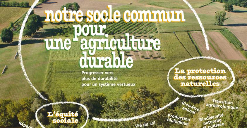 251015 socle commun A3 jaune