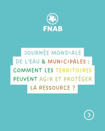 655430943 1291514326443457 1737294329045708552 n 1332 444