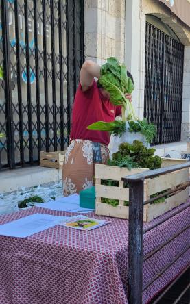 Paniers 2 1332 444