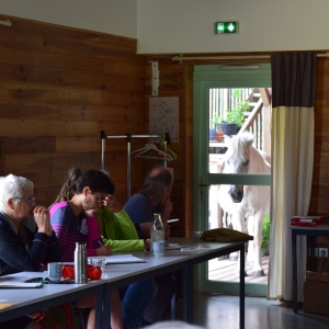 Journées du réseau 2023